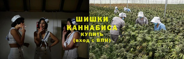 apvp Магас